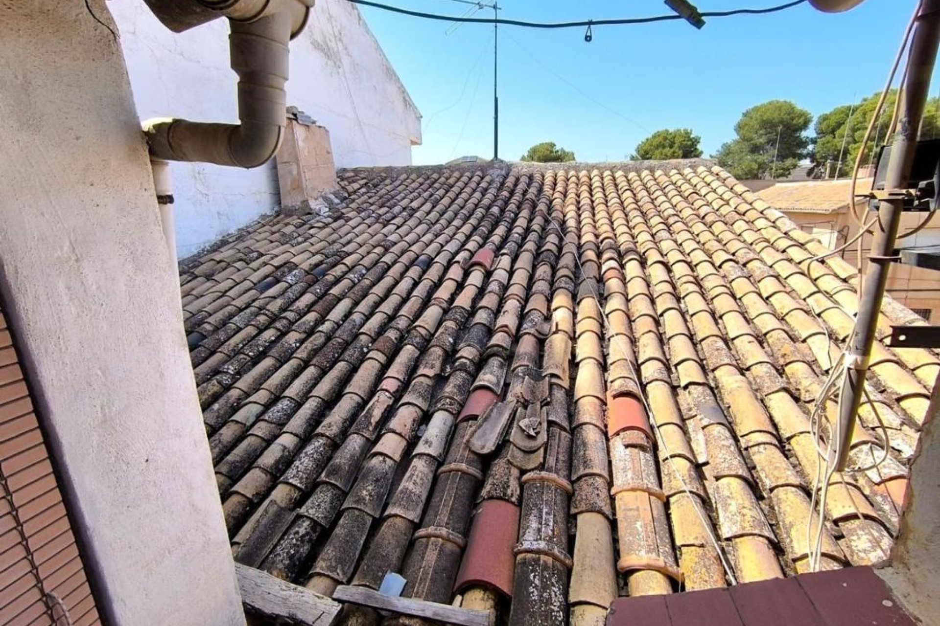 Obra nueva -  - Pinoso