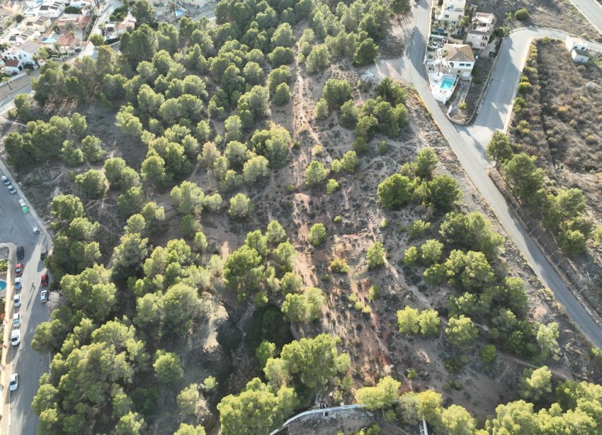 Obra nueva - Villa - Alfas del Pí - Escandinavia