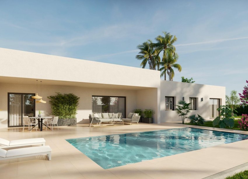 Obra nueva - Villa - Aspe - Poligono 19