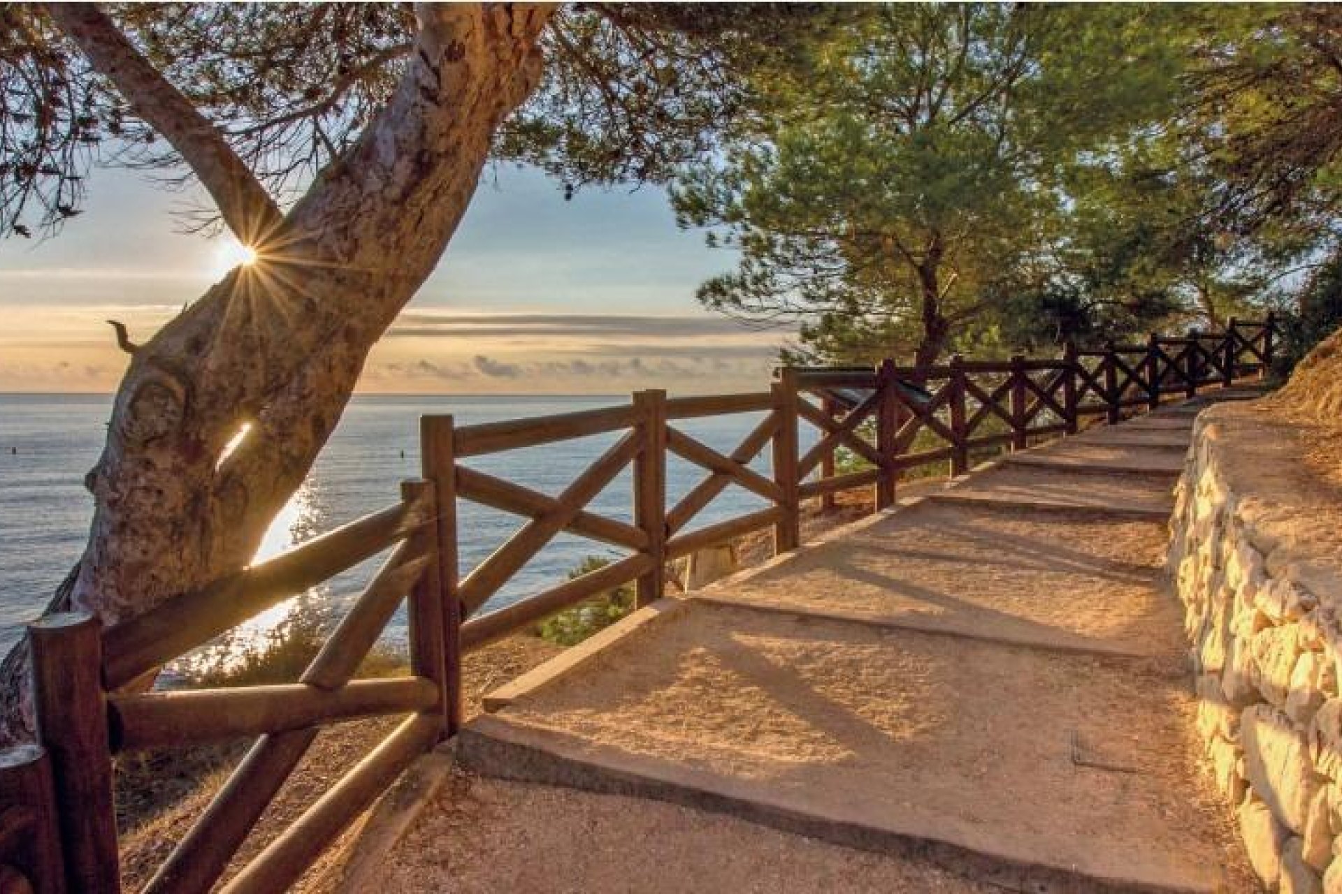 Obra nueva - Villa - Benissa - Cala Advocat