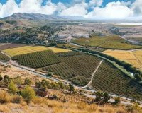 Obra nueva - Villa - Calasparra - Coto Riñales