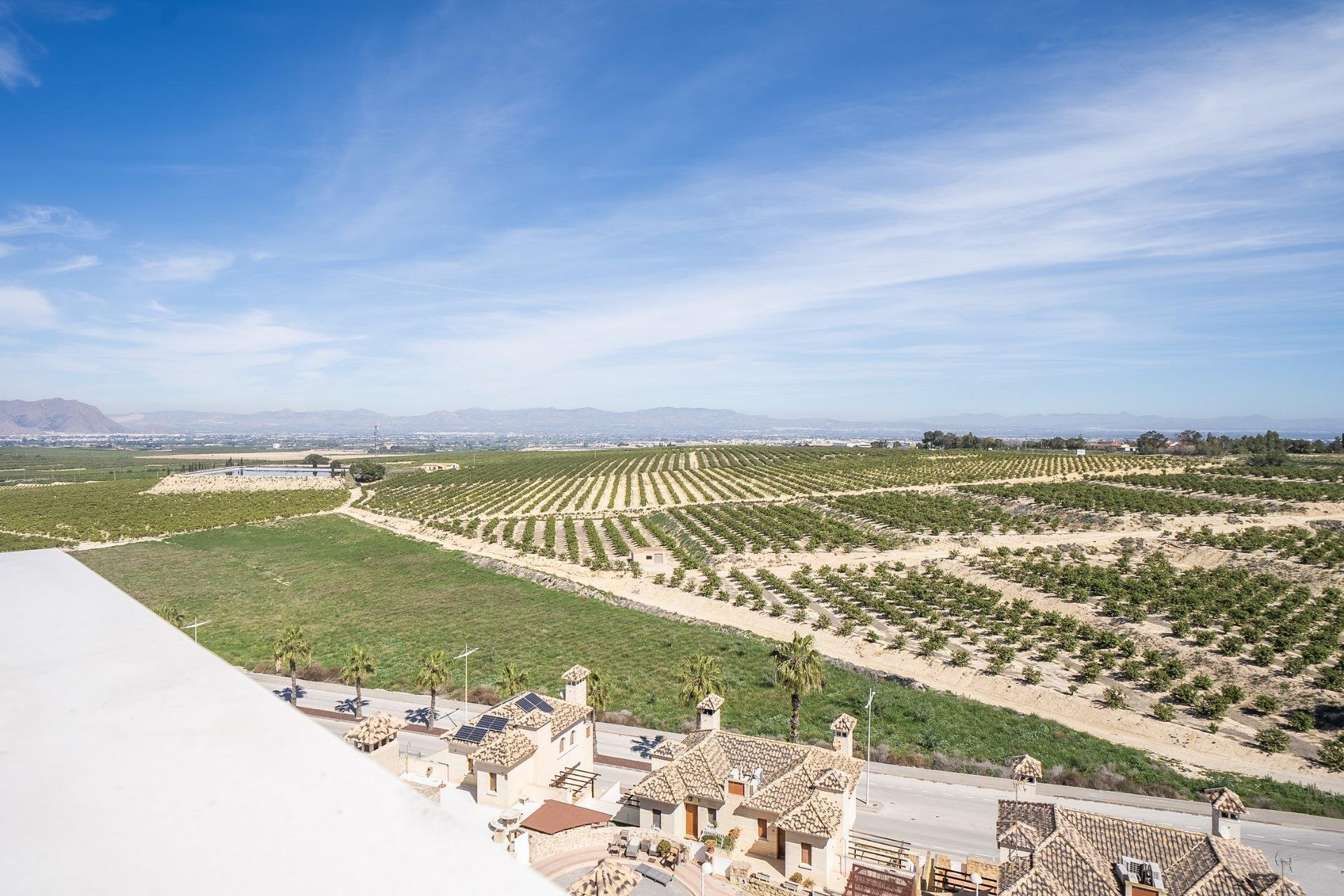 Obra nueva - Villa / Casa - Algorfa