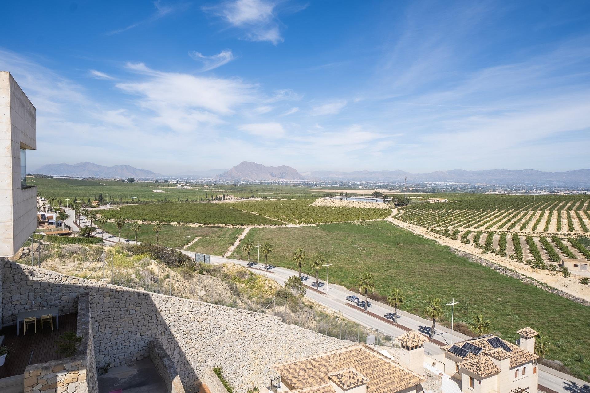 Obra nueva - Villa / Casa - Algorfa