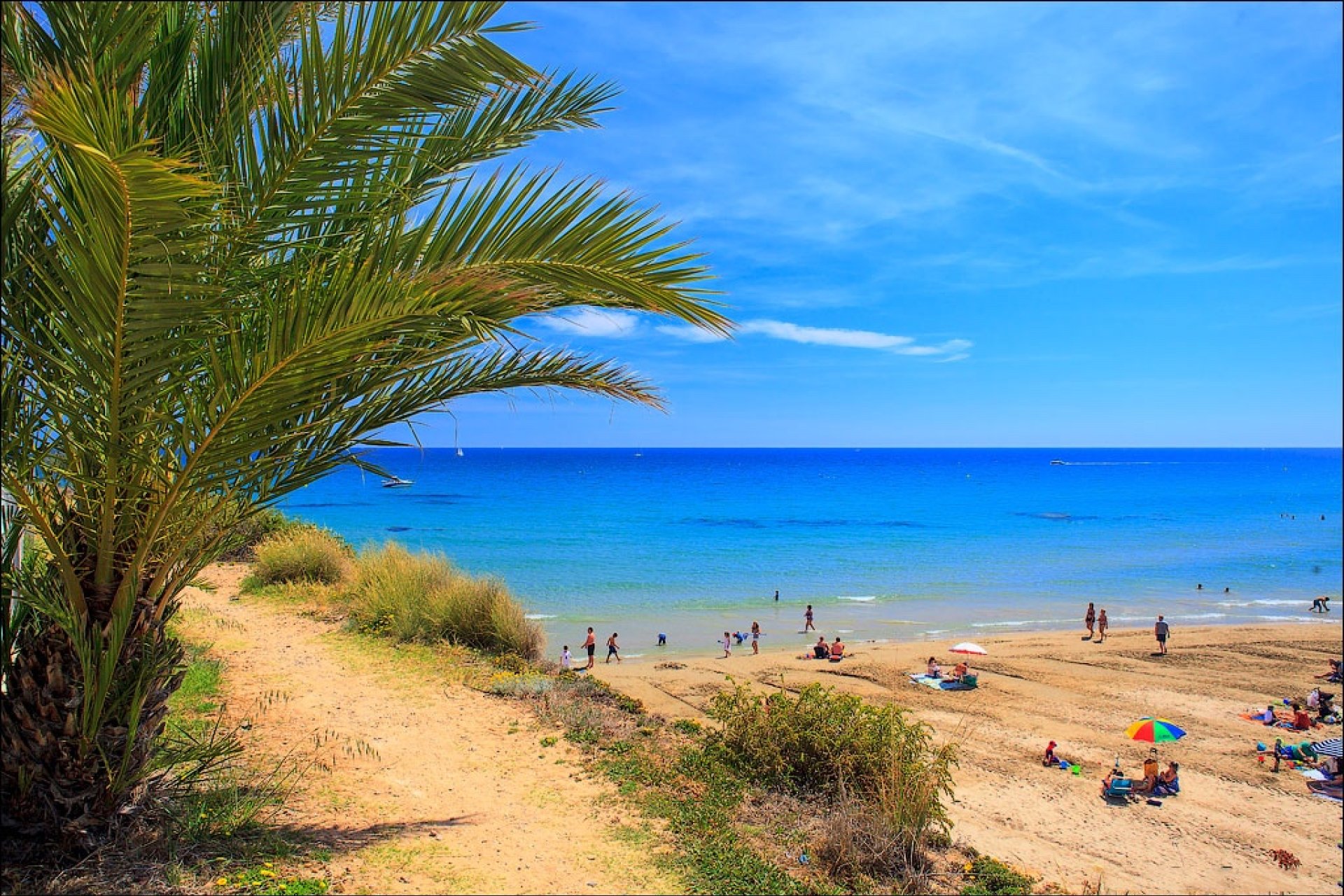 Obra nueva - Villa / Casa - Orihuela Costa - Cabo Roig