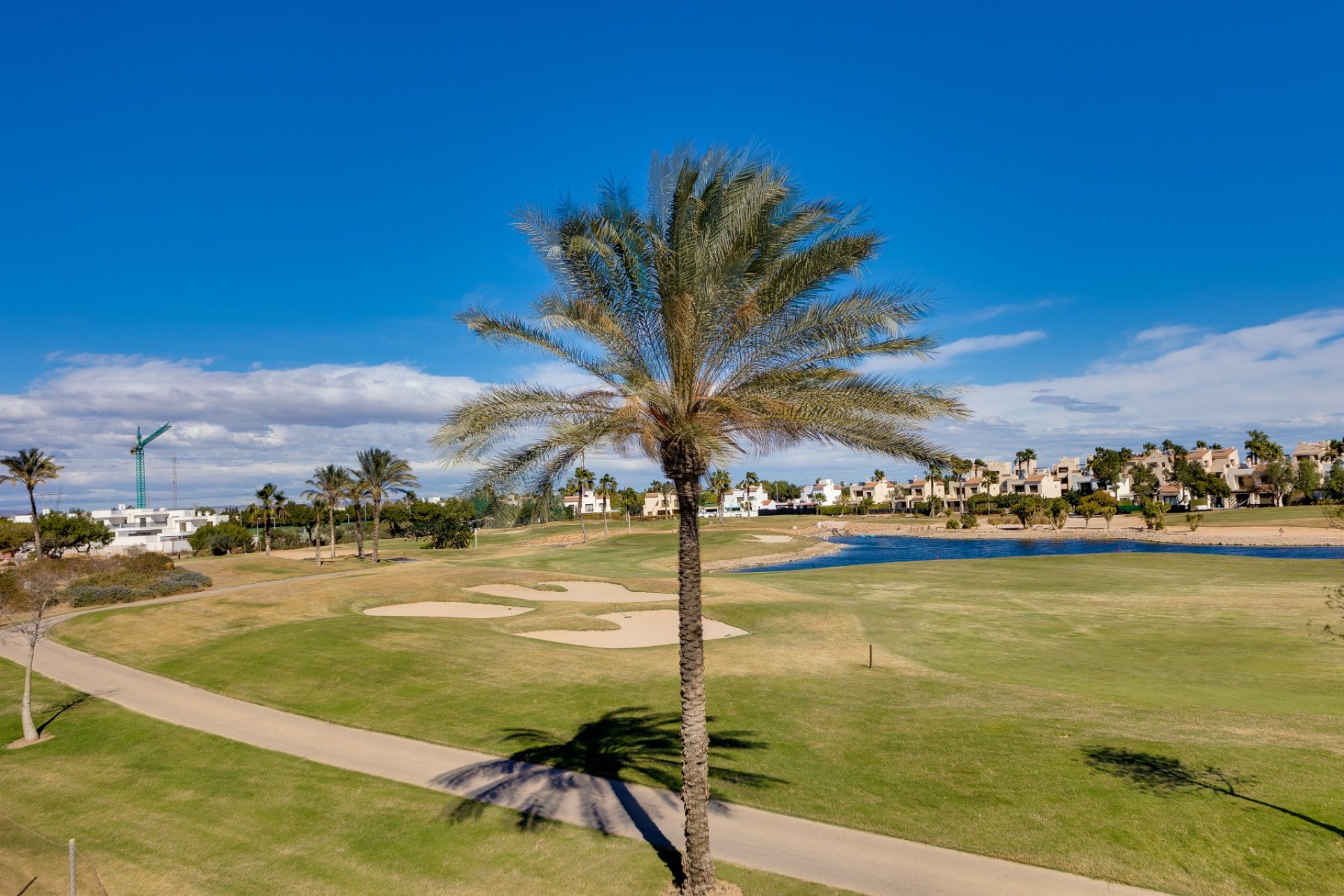 Obra nueva - Villa / Casa - Pilar de la Horadada - Roda Golf