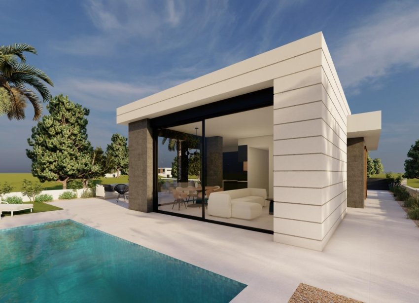Obra nueva - Villa / Casa - Pilar de la Horadada