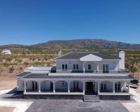Obra nueva - Villa / Casa - Pinoso