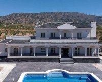 Obra nueva - Villa / Casa - Pinoso
