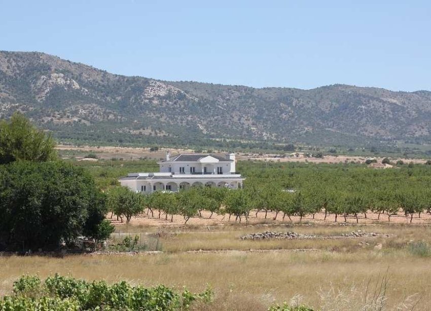 Obra nueva - Villa / Casa - Pinoso