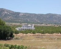 Obra nueva - Villa / Casa - Pinoso