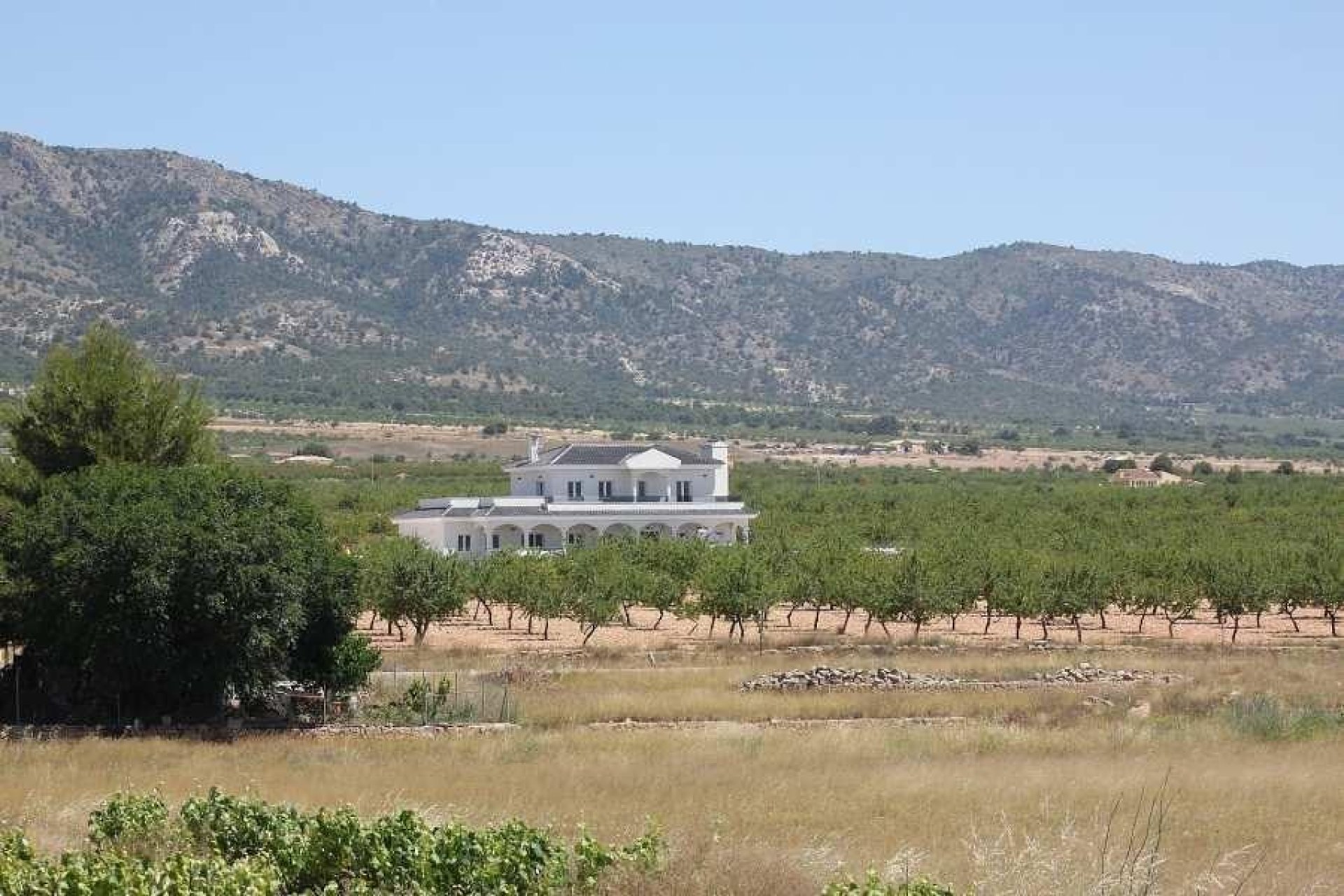Obra nueva - Villa / Casa - Pinoso