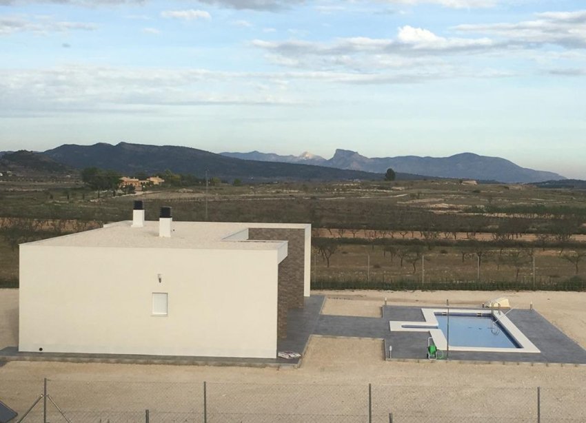 Obra nueva - Villa / Casa - Pinoso