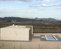 Obra nueva - Villa / Casa - Pinoso