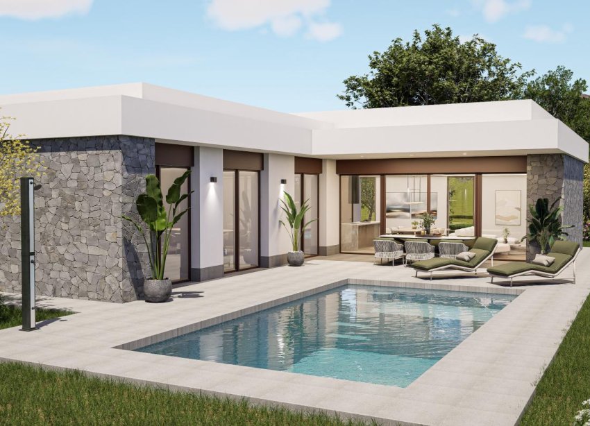 Obra nueva - Villa - Elche - Elche / Elx