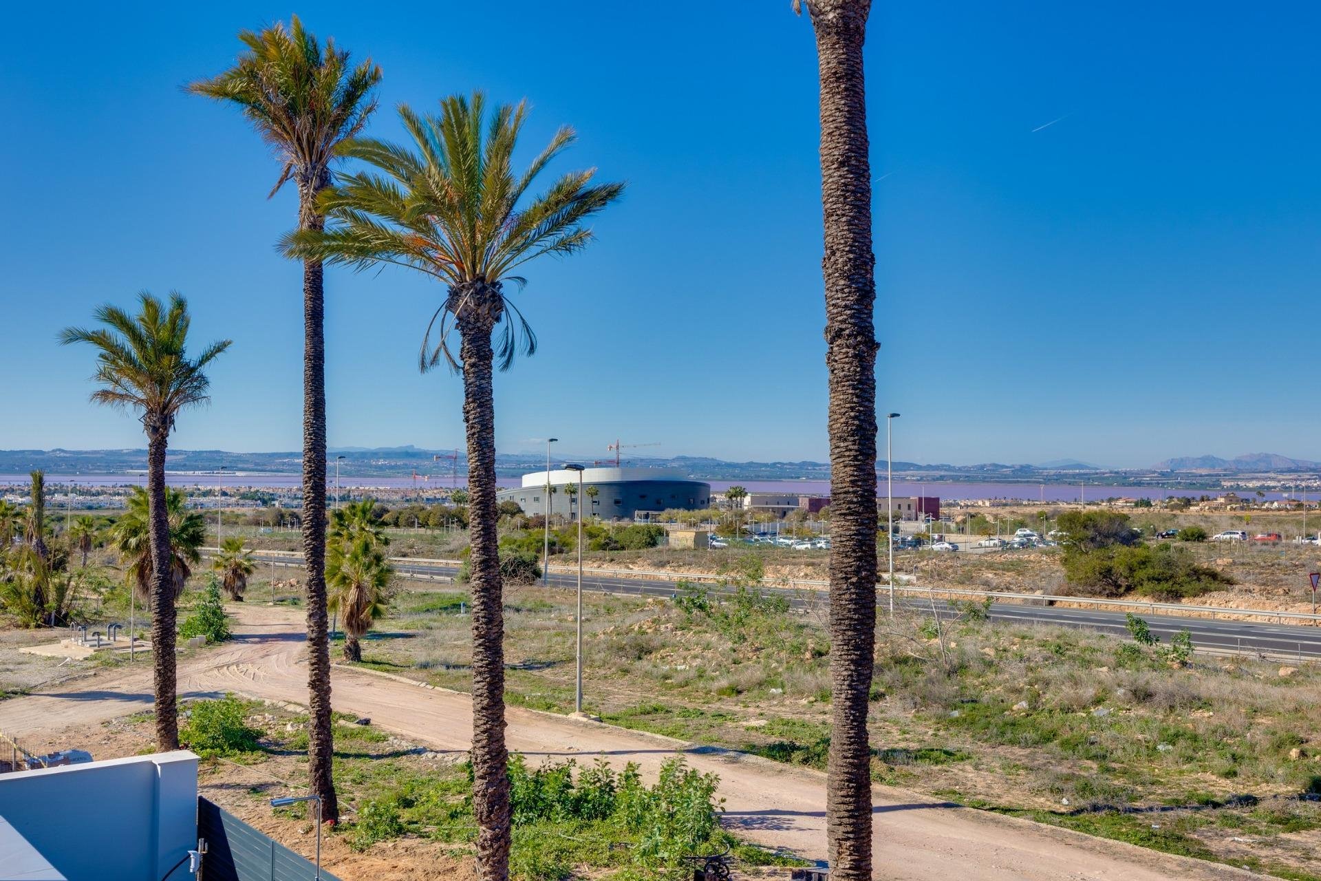 Obra nueva - Villa - ﻿Torrevieja (Alicante) - Torrevieja