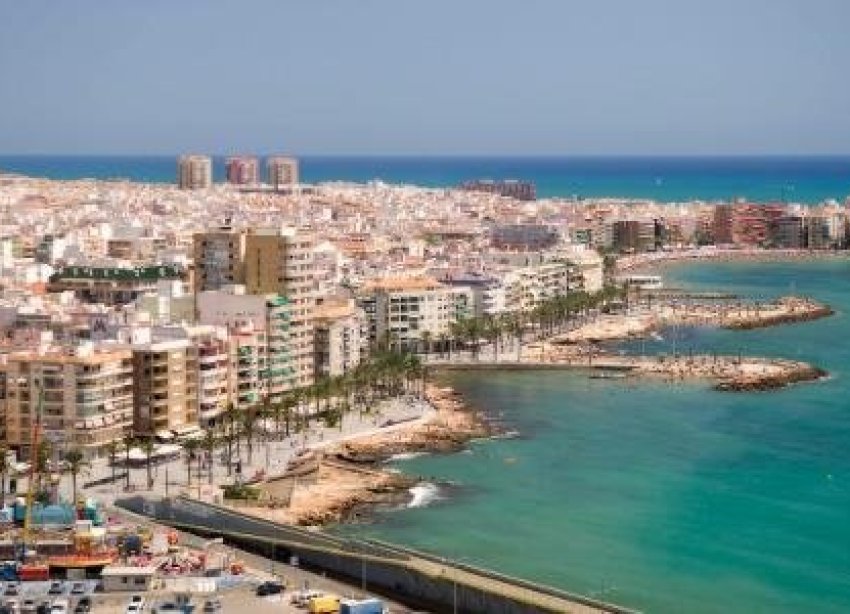 Obra nueva - Villa - ﻿Torrevieja (Alicante) - Torrevieja