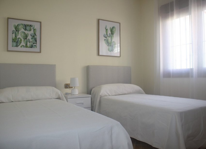 Obra nueva - Villa - ﻿Torrevieja (Alicante) - Torrevieja