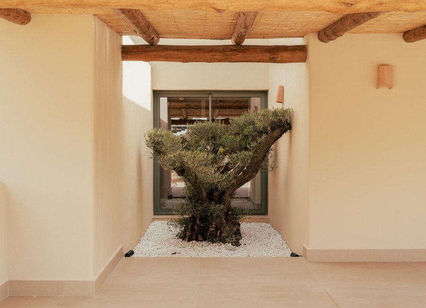 Obra nueva - Villa - Jávea - Valle del Sol