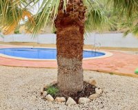 Obra nueva - Villa - La Romana - Villas de la Romana