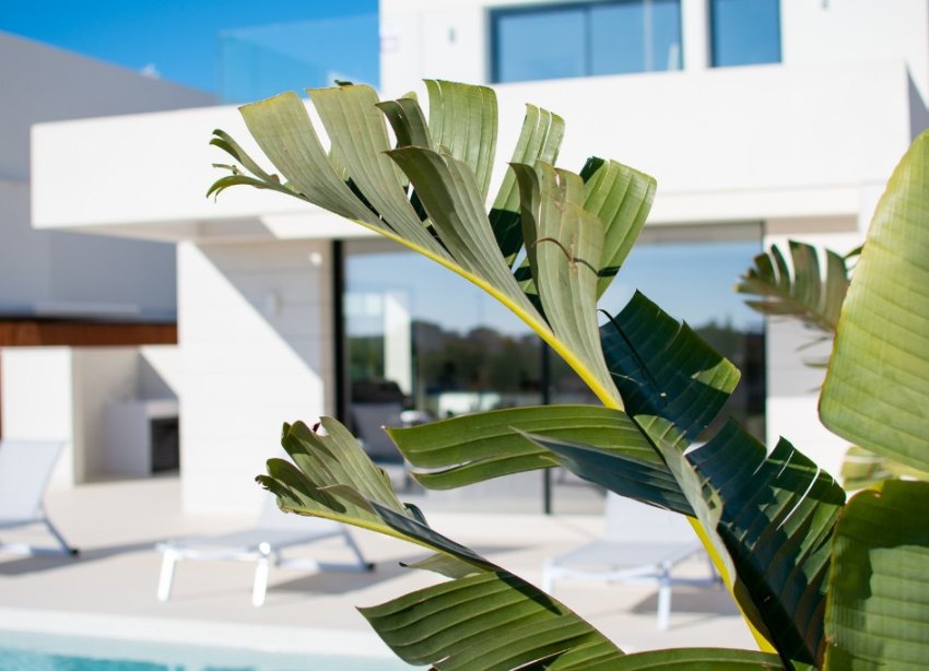 Obra nueva - Villa - Los Montesinos - La Herada