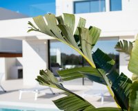 Obra nueva - Villa - Los Montesinos - La Herada