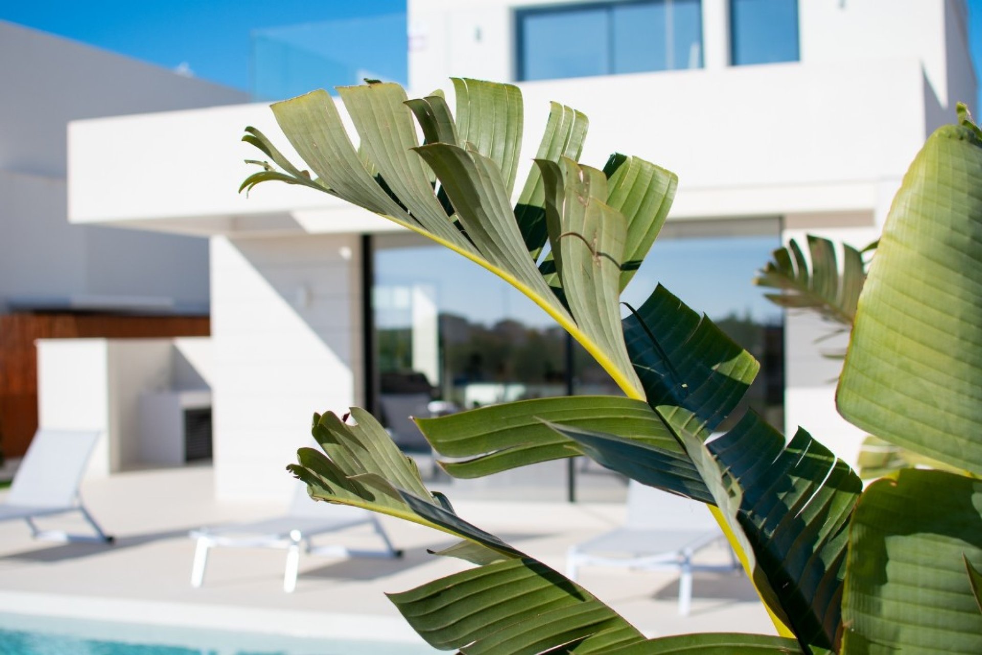 Obra nueva - Villa - Los Montesinos - La Herada