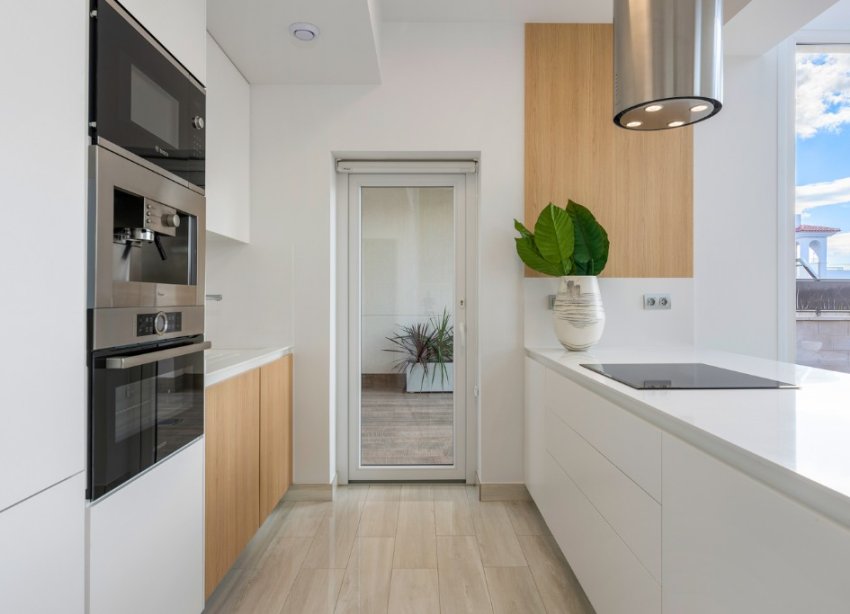 Obra nueva - Villa - Los Montesinos - La Herada