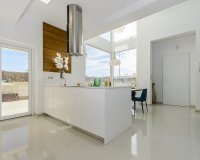 Obra nueva - Villa - Los Montesinos - La Herrada