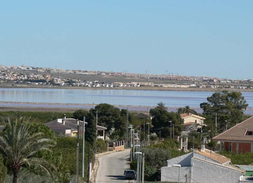 Obra nueva - Villa - Los Montesinos - La Herrada