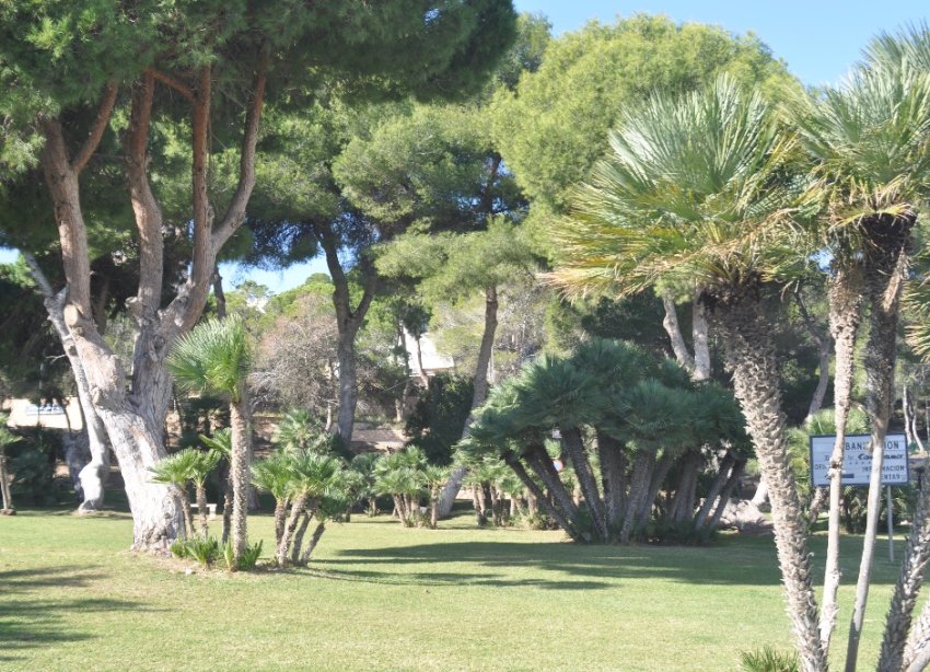 Obra nueva - Villa - Orihuela Costa - Dehesa De Campoamor