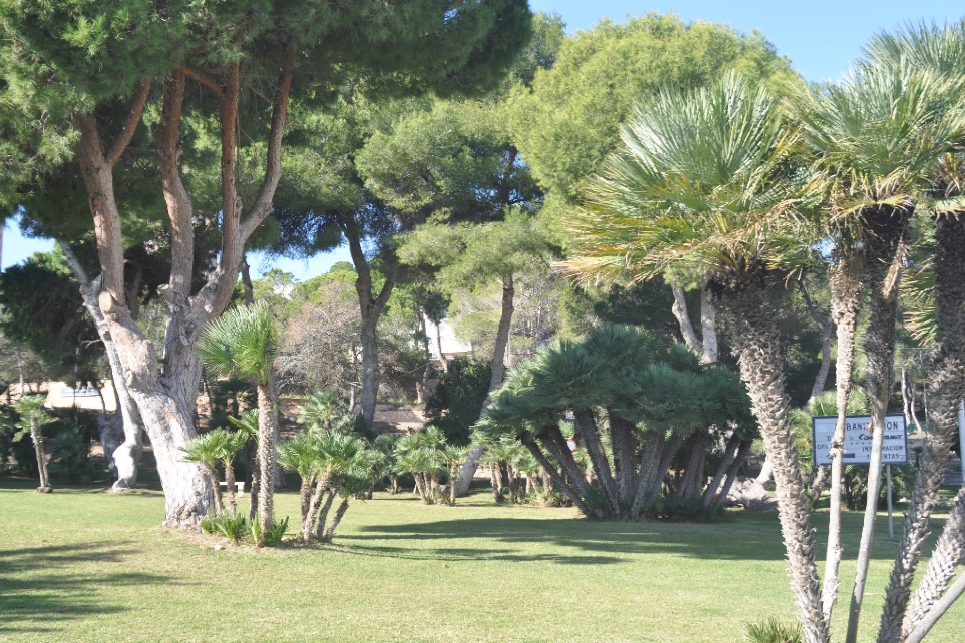 Obra nueva - Villa - Orihuela Costa - Dehesa De Campoamor