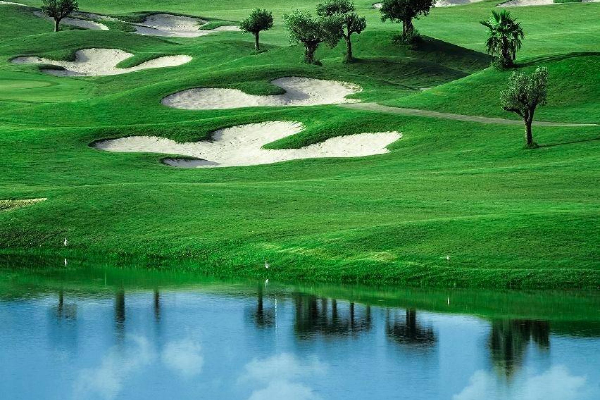 Obra nueva - Villa - Orihuela