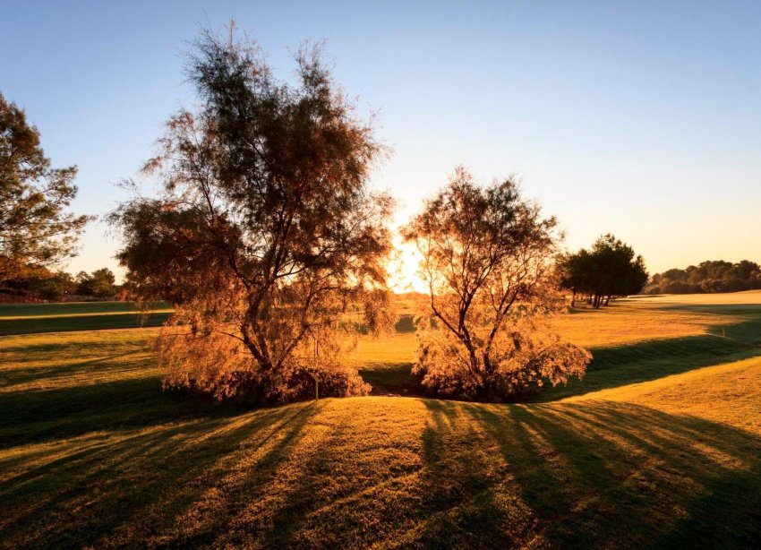 Obra nueva - Villa - Pilar de la Horadada - Lo Romero Golf