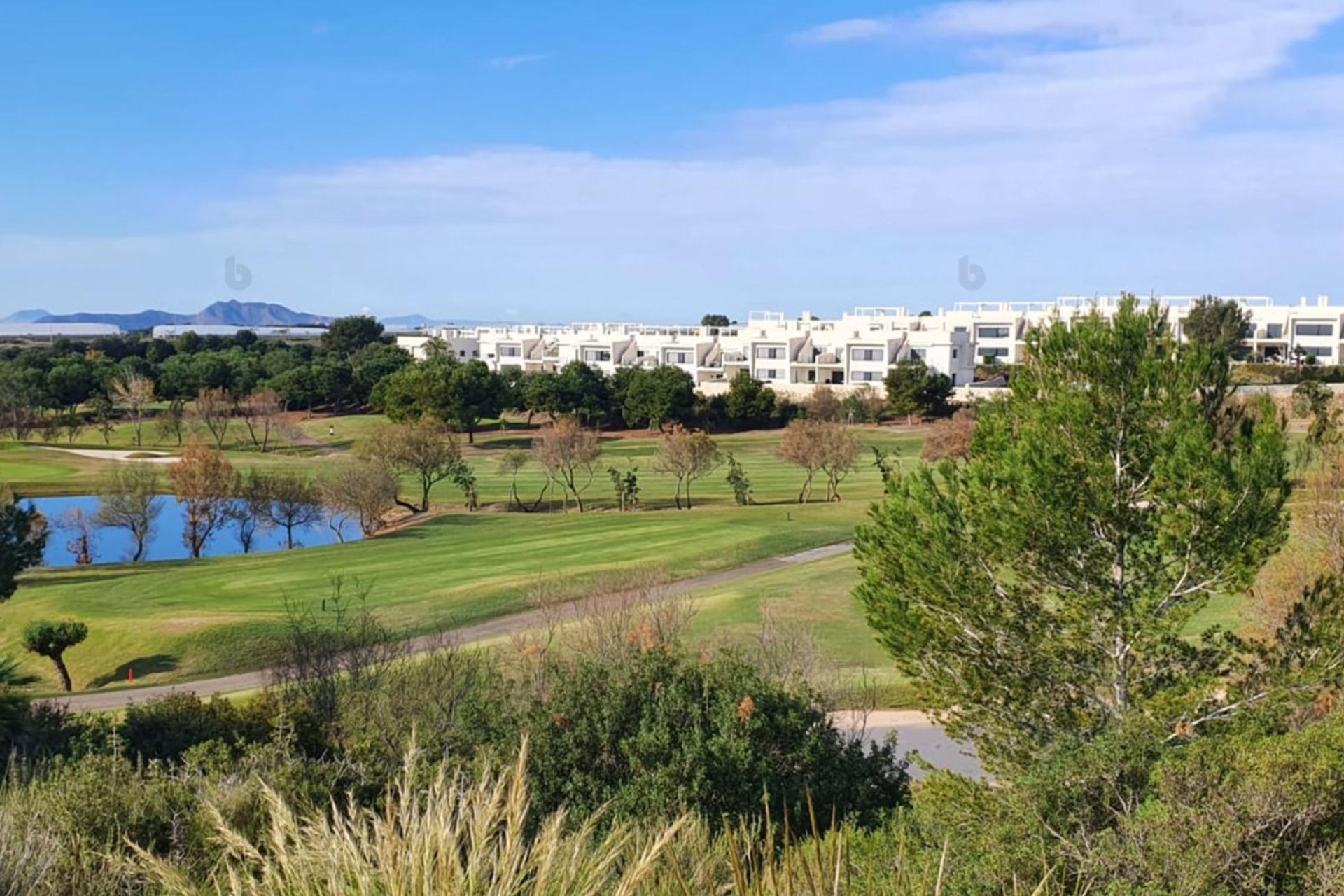 Obra nueva - Villa - Pilar de la Horadada - Lo Romero Golf