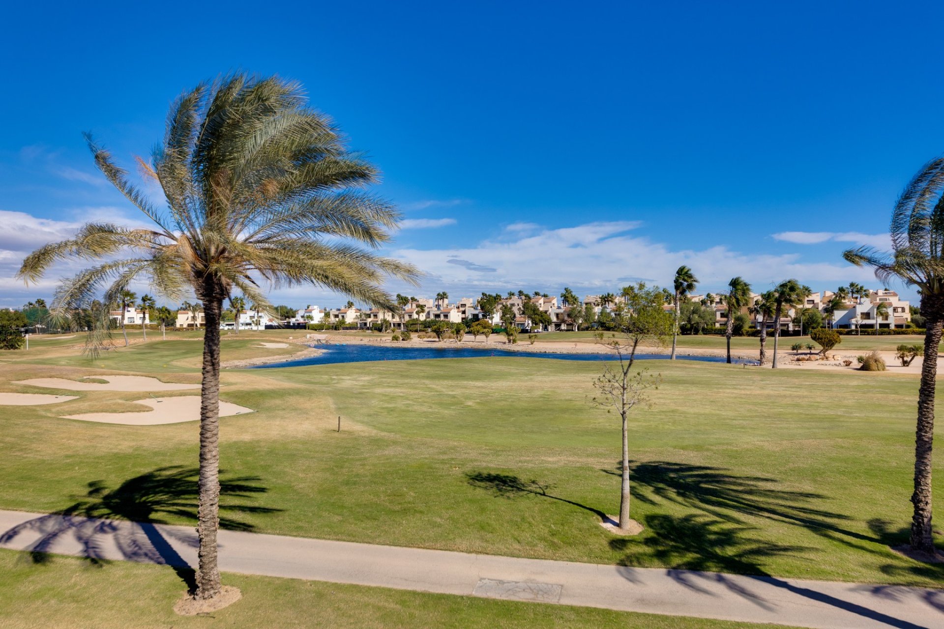 Obra nueva - Villa - Pilar de la Horadada - Roda Golf