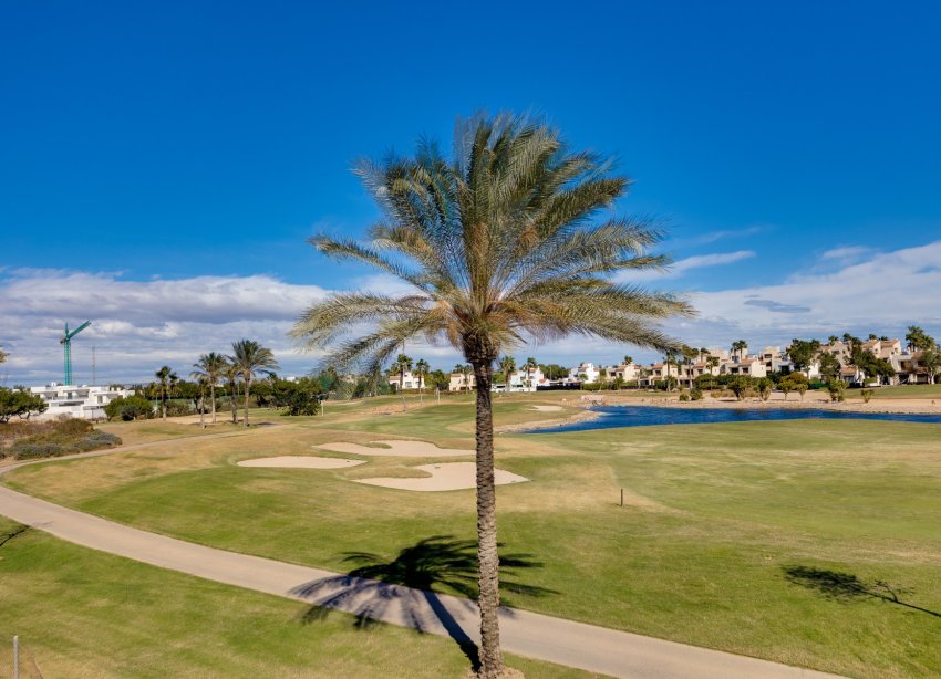 Obra nueva - Villa - Pilar de la Horadada - Roda Golf