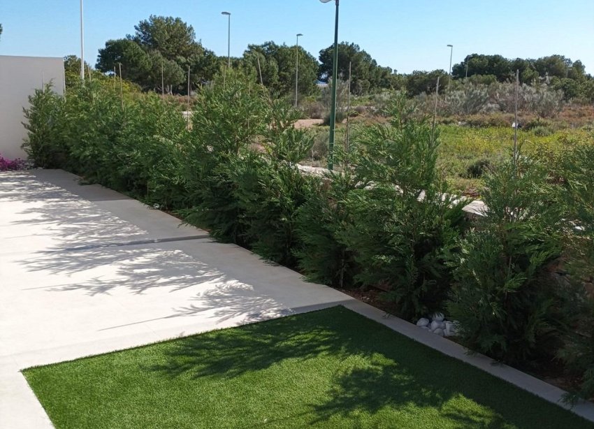 Obra nueva - Villa - Pilar de la Horadada