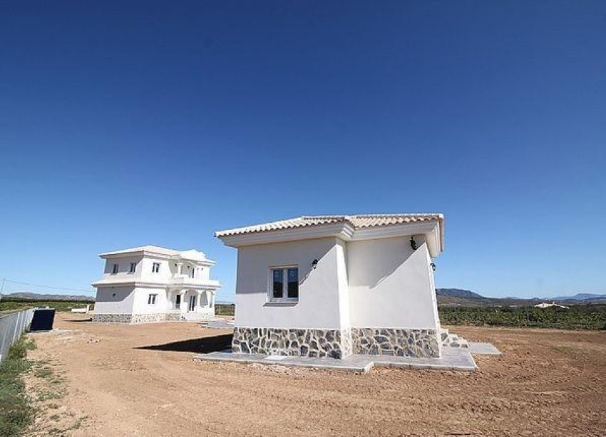 Obra nueva - Villa - Pinoso - Camino Del Prado