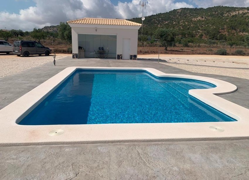 Obra nueva - Villa - Pinoso - Camino Del Prado