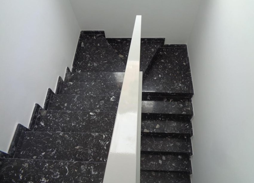 Obra nueva - Villa - Pinoso - Camino Del Prado