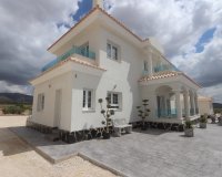Obra nueva - Villa - Pinoso - Camino Del Prado