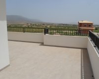 Obra nueva - Villa - Pinoso - Camino Del Prado