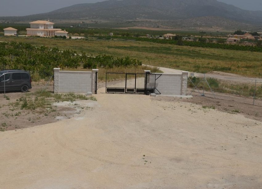 Obra nueva - Villa - Pinoso - Camino Del Prado