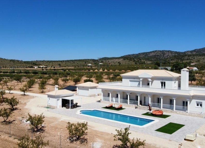 Obra nueva - Villa - Pinoso - Camino Del Prado