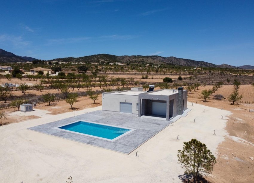 Obra nueva - Villa - Pinoso - Camino Del Prado