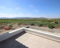 Obra nueva - Villa - Pinoso - Camino Del Prado