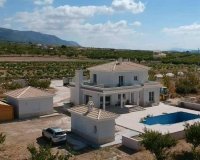 Obra nueva - Villa - Pinoso - Camino Del Prado