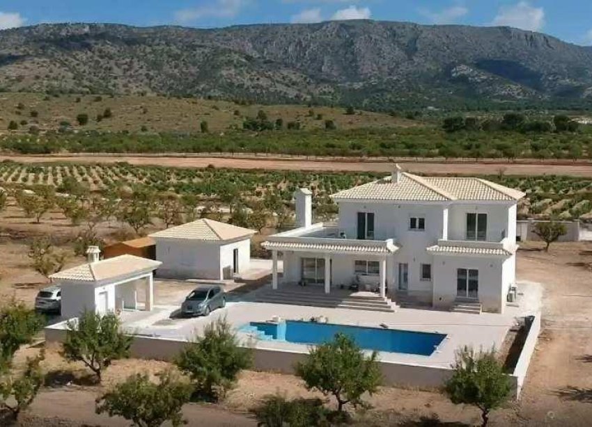 Obra nueva - Villa - Pinoso - Camino Del Prado