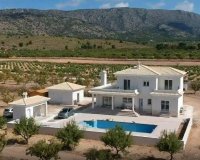 Obra nueva - Villa - Pinoso - Camino Del Prado