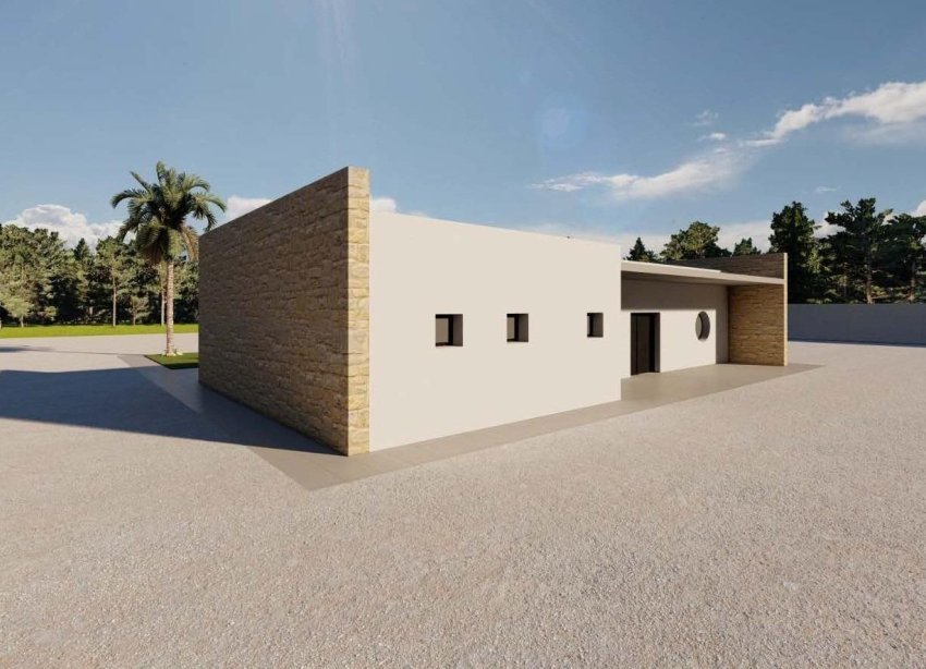 Obra nueva - Villa - Pinoso - Campo